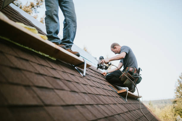 Best Roof Gutter Cleaning  in Flora, MS